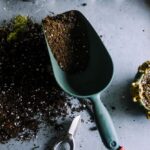 Terras of balkon vergroenen: planten in pot op balkon